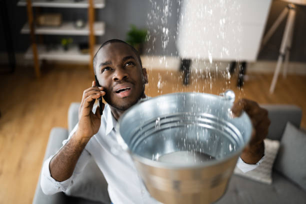 Best Flood restoration services  in Gillette, WY