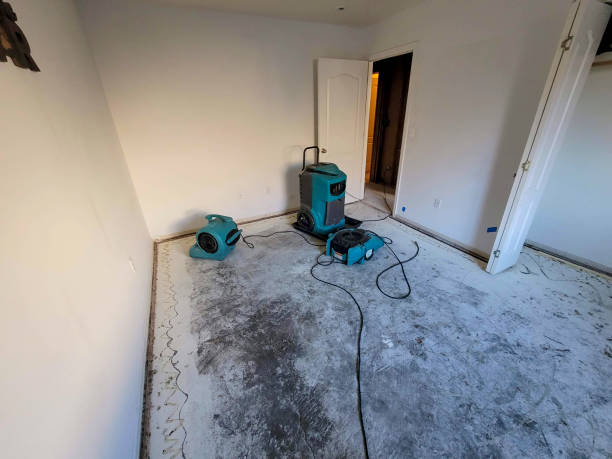 Best Fire Damage Restoration  in Gillette, WY