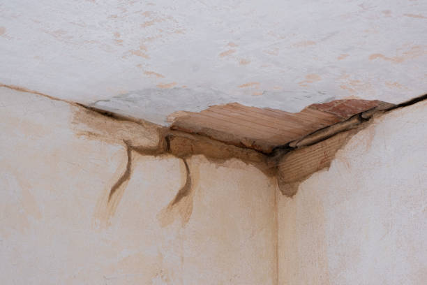 Best Professional water damage repair  in Gillette, WY
