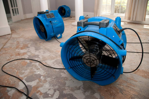 Best Local water damage restoration  in Gillette, WY