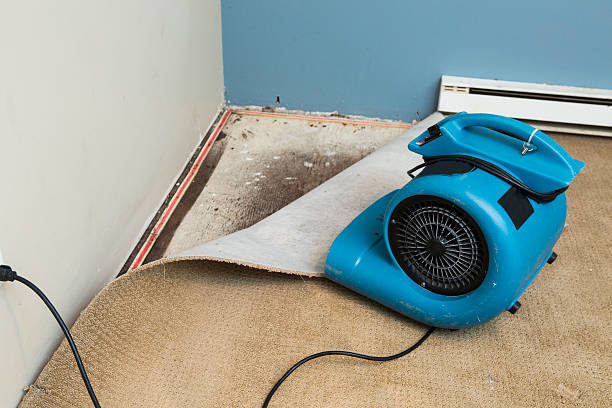 Best Water damage restoration near me  in Gillette, WY